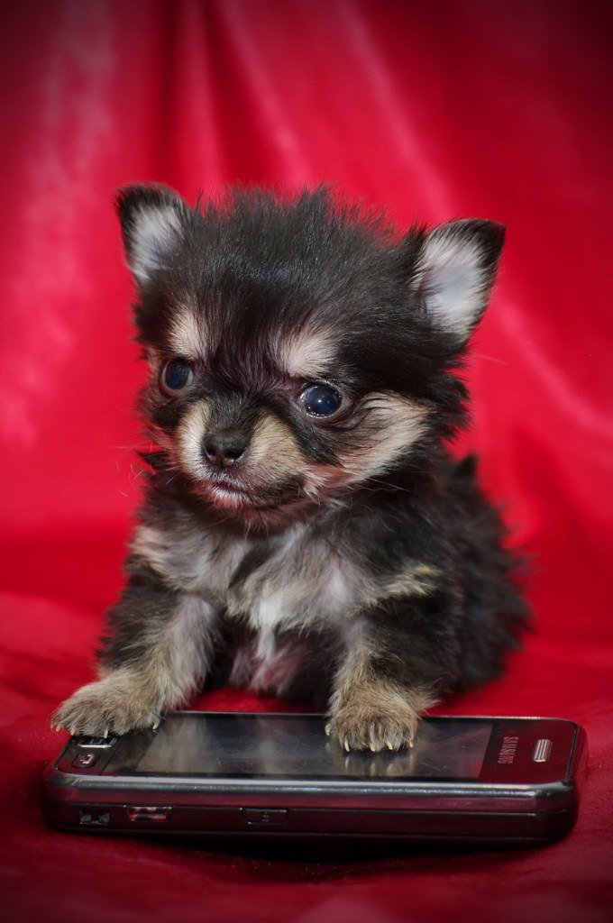 Алина Гусева | Харьков