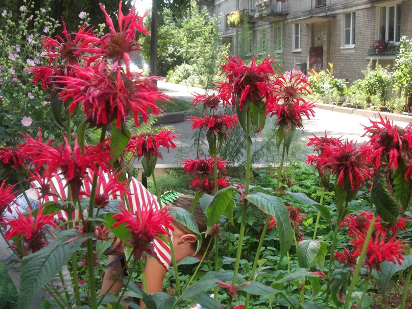 Андрей Власов | Санкт-Петербург