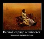 Фотография Евгений Солохин