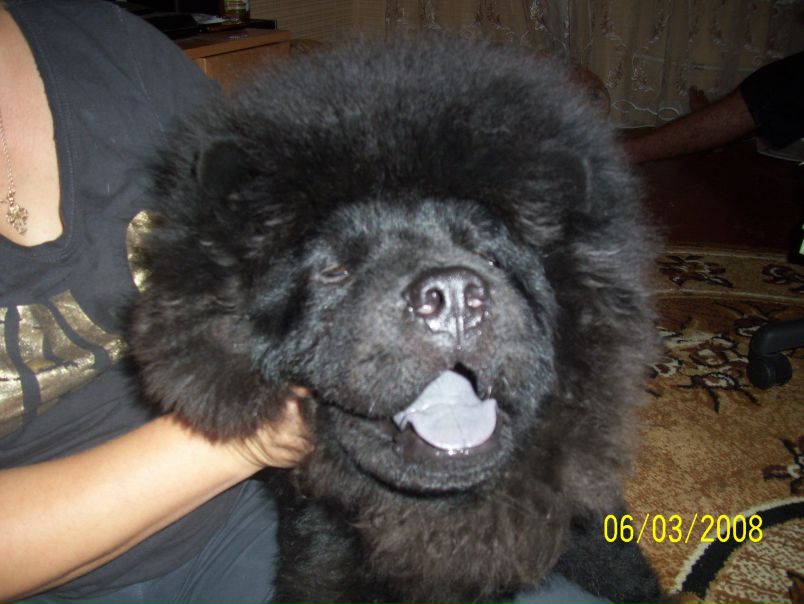 №52, Андрей Мальчик, 45 лет, Бахчисарай №52, Андрей Мальчик, 45 лет, Бахчисарай