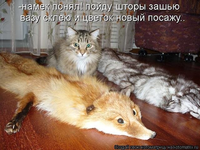 Диана Айриян | Ростов-на-Дону