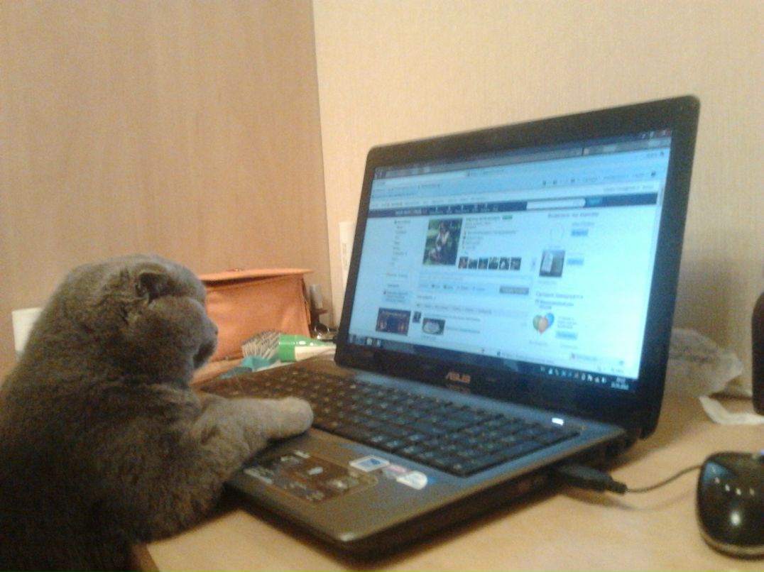 Марина Новикова | Минск