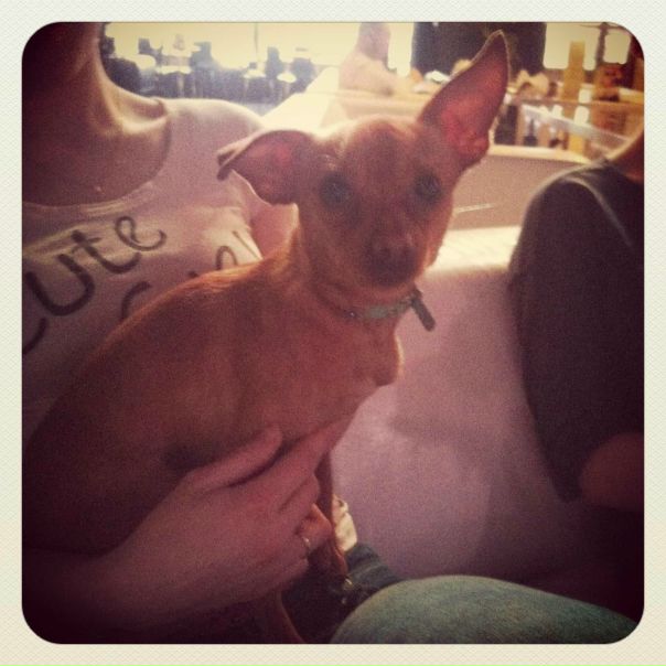 №9, Ведущий В Испании, Alicante, Испания №9, Ведущий В Испании, Alicante, Испания