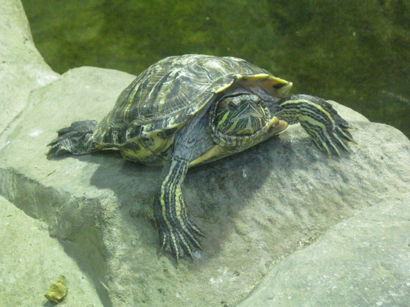 Марина Набиева | Москва