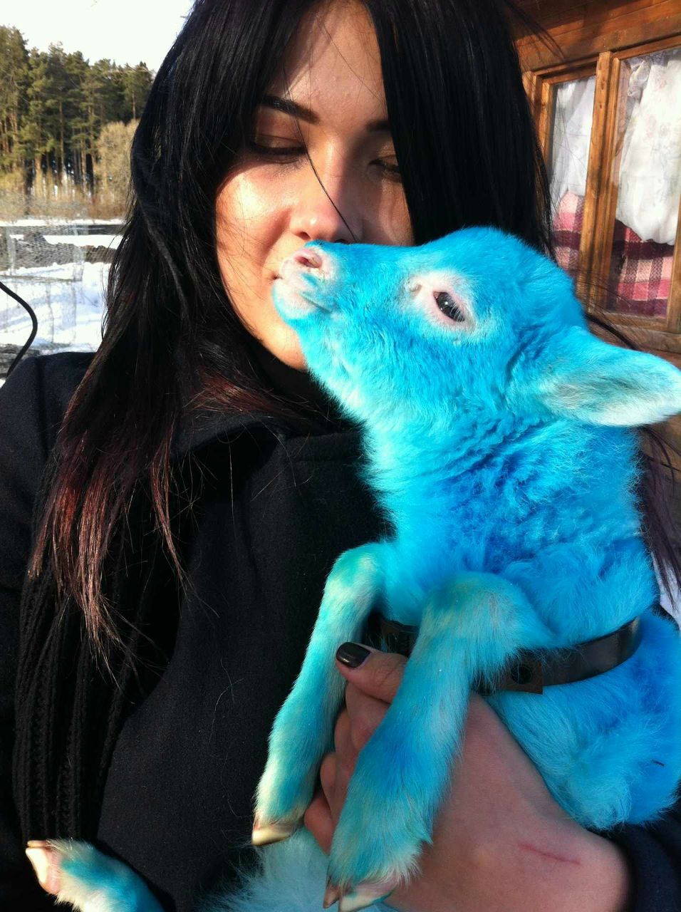 Anna Soina ✂ | Москва