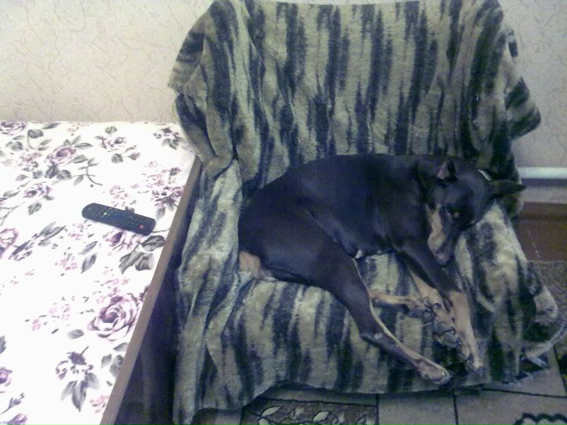 Станислав Порошенко | Одесса