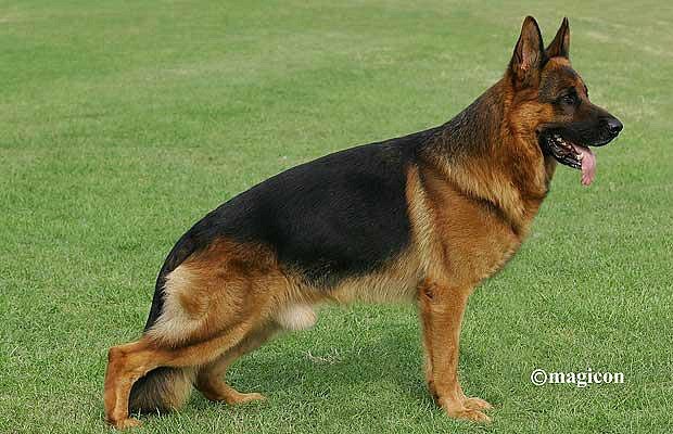 Марина Иванова | Москва