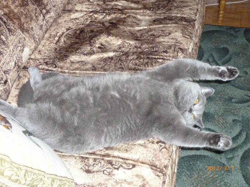 Надежда Михайлова | Калининград