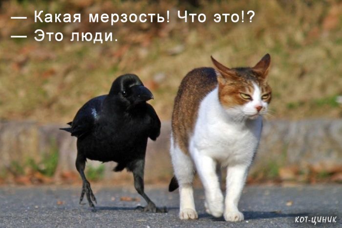 Евгения Жердева | Иркутск