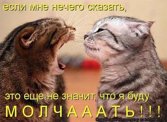 Сергей Белов | Москва