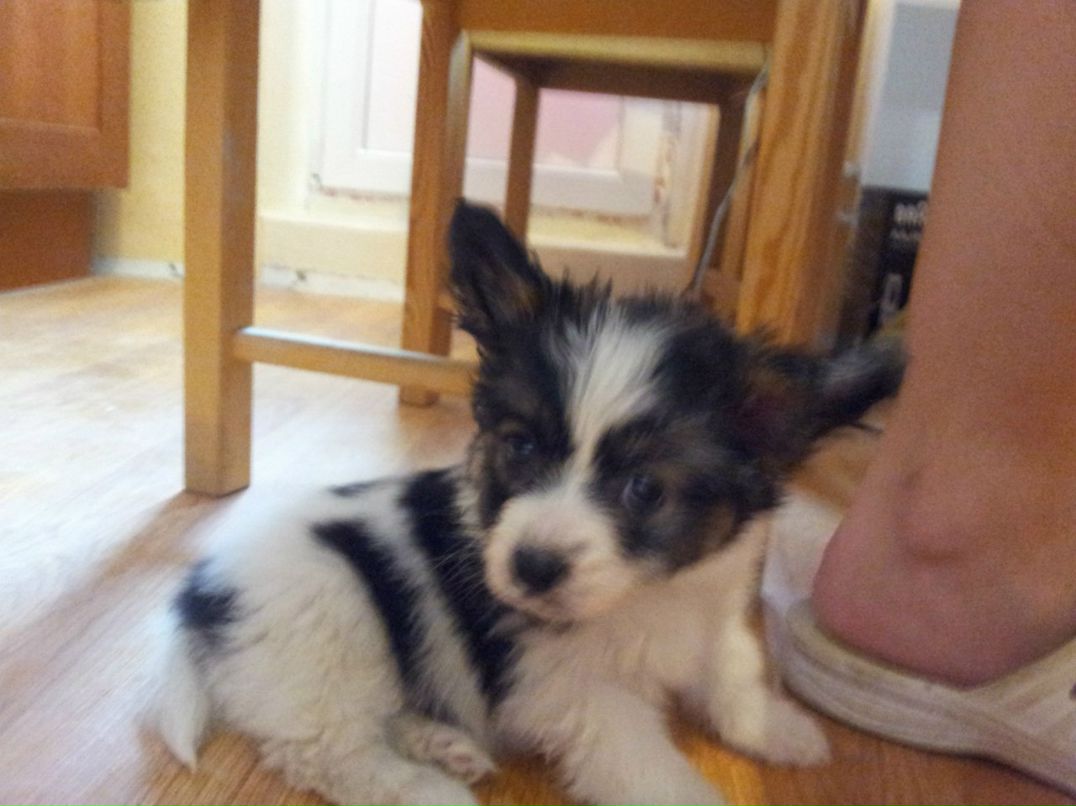 Наташа Гончар | Москва