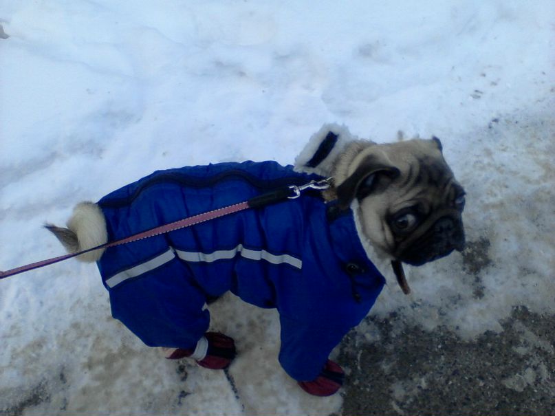 Вера Валиева ASTURIA | Киев