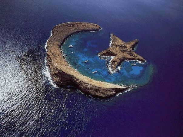 №118, Камил Гусейнов, 33 года, Северодонецк №118, Камил Гусейнов, 33 года, Северодонецк