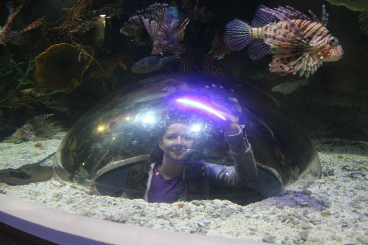 Ксения Шагина | Владимир