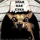 Фотография Белоусовой Екатерины