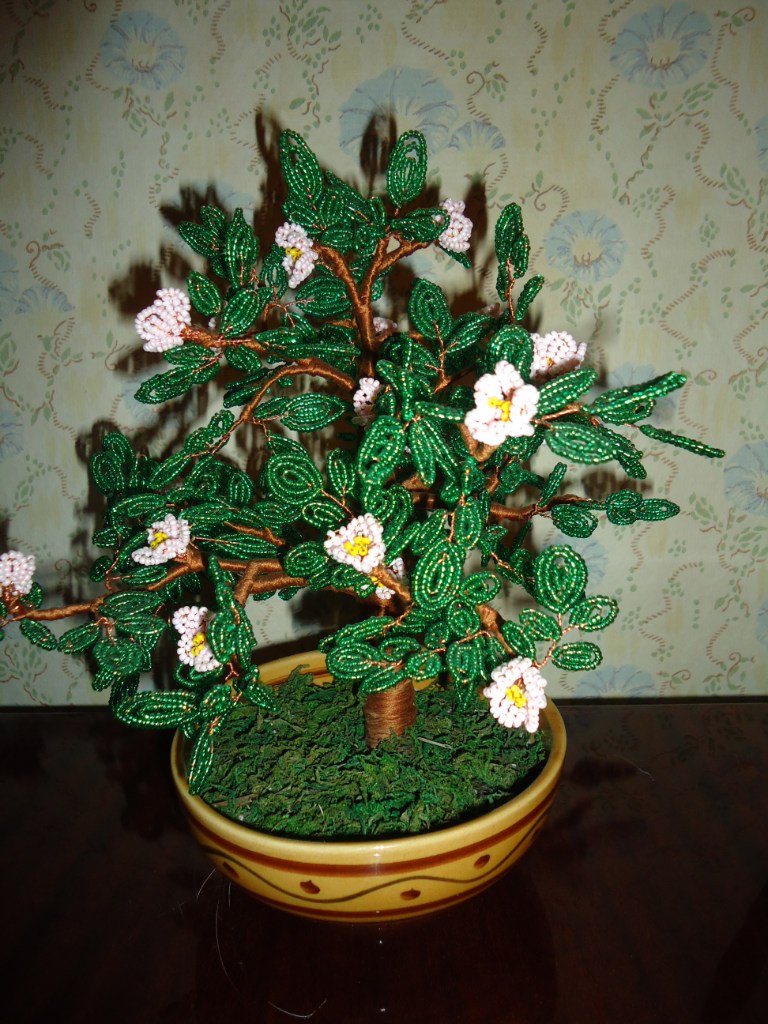 Светлана Острянко | Симферополь