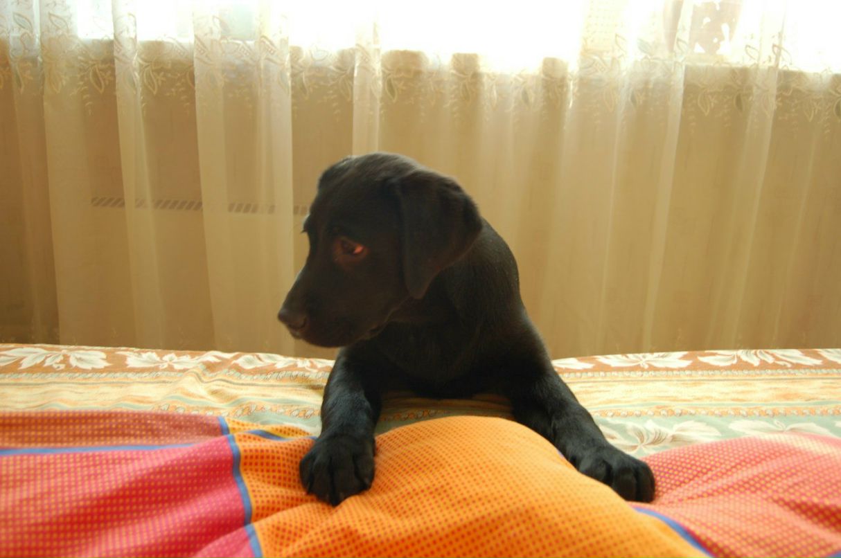 Женя Лукяненко | Звездный Городок