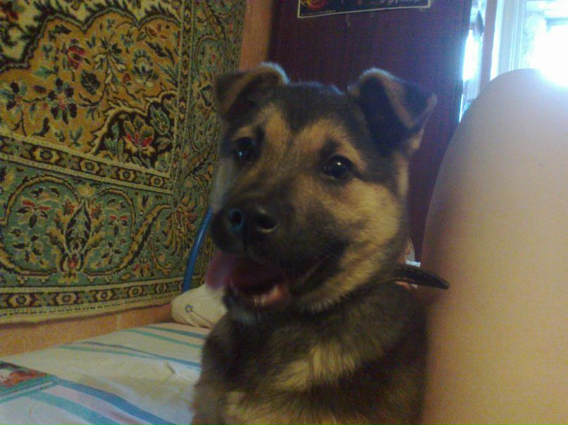 Евгения Булатова | Тамбов