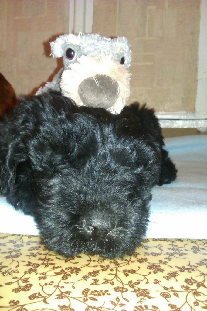 Катерина Колисниченко | Москва