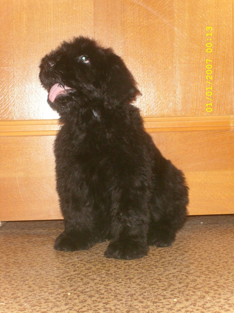 Катерина Колисниченко | Москва