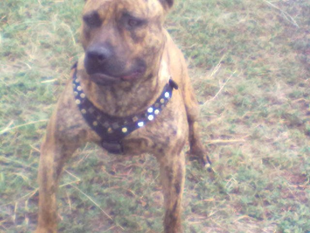 Алексей Ларченков | Москва