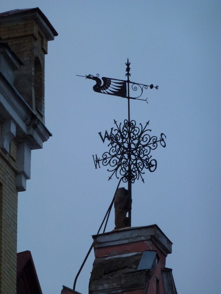 Ольга Целищева Олюшка | Санкт-Петербург