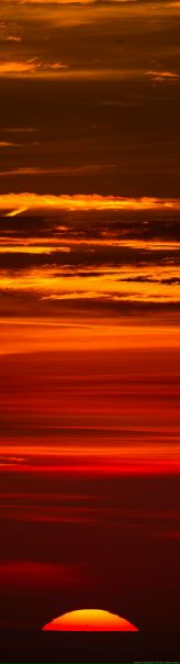 №49, Maksim Bezhan, Одесса №49, Maksim Bezhan, Одесса