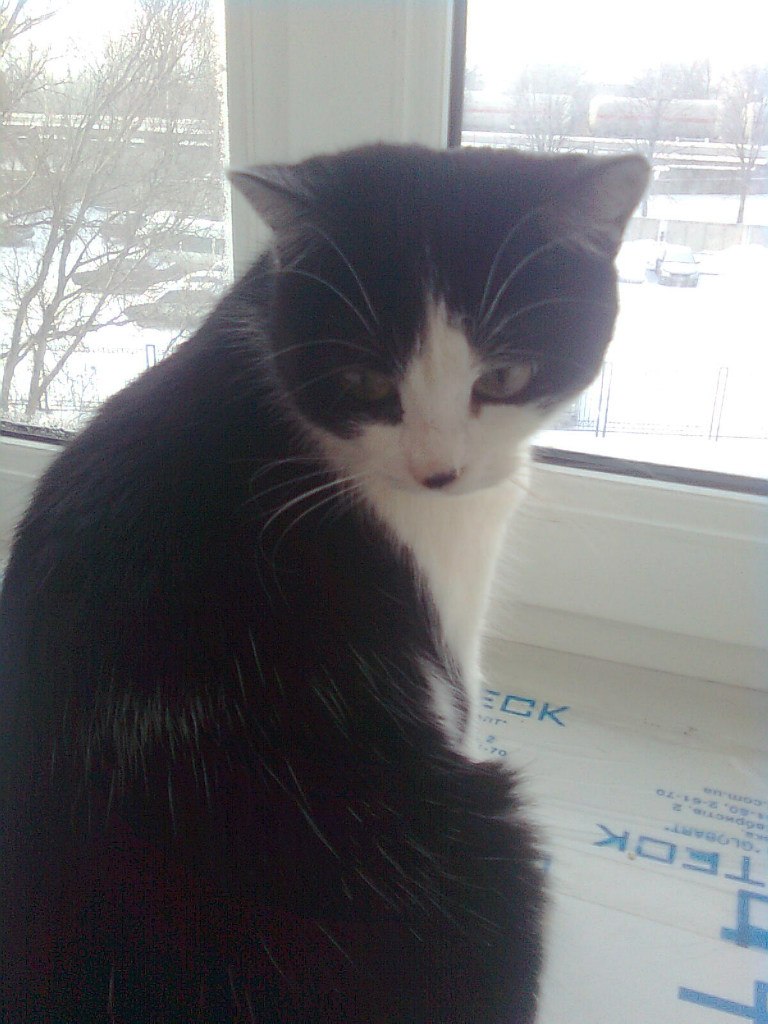 Елена Кузнецова | Каменское / Днепродзержинск