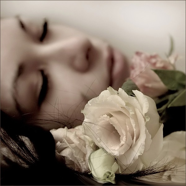 №79, Екатерина Ходжаева, Зеленоград №79, Екатерина Ходжаева, Зеленоград