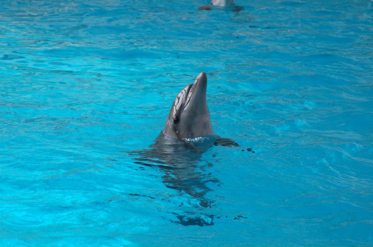 Гульназ Юнусова | Альметьевск