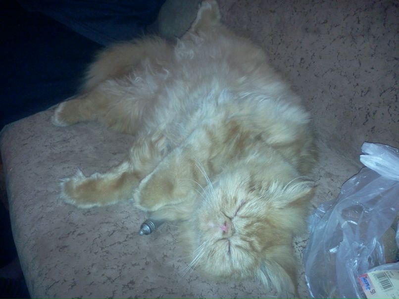 Дмитрий Одесский | Одесса