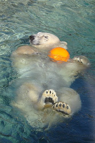 Машуня Павлова Мазаичка | Москва