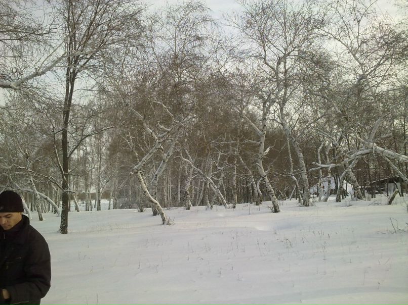 Сергей Квашин | Калач-на-Дону