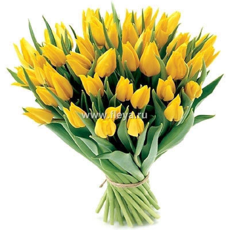 Нина Могилевская | Екатеринбург