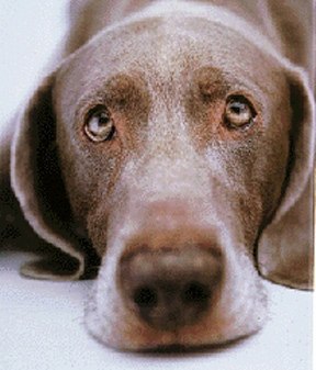 Владислав Невский ???? | Конаково