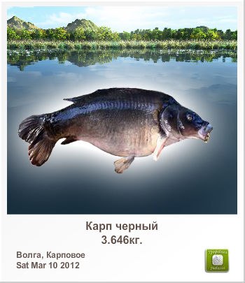 Александр Силин | Великие Луки