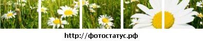 №40, Настя , 40 лет №40, Настя , 40 лет