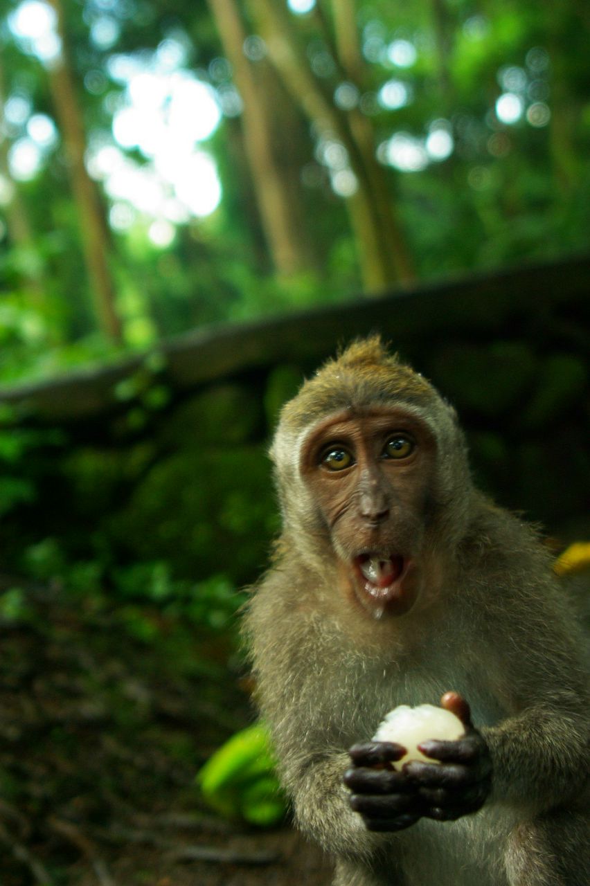 Дима Диссон | Москва