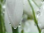 Татьяна Богатырева | Кунгур