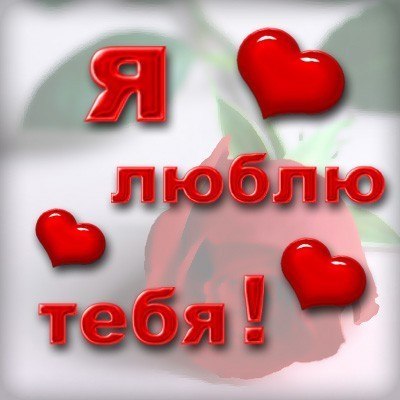 Дима Ильин | Великий Новгород