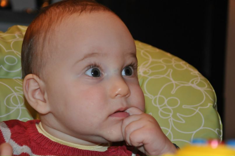 Камилла Веселова | Москва