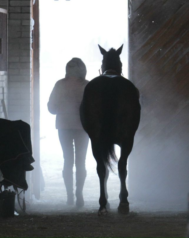 Ирина Белецкая | Санкт-Петербург