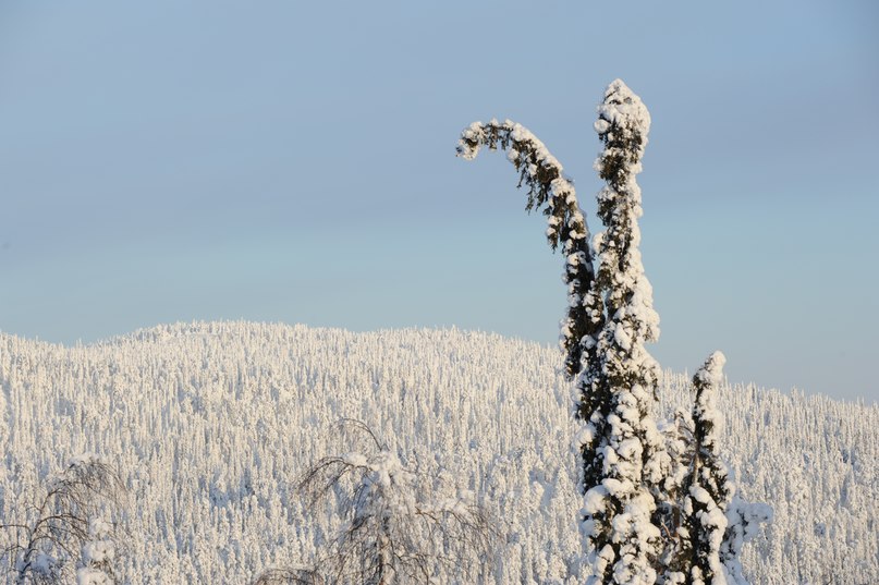 Вова Галайко | Москва
