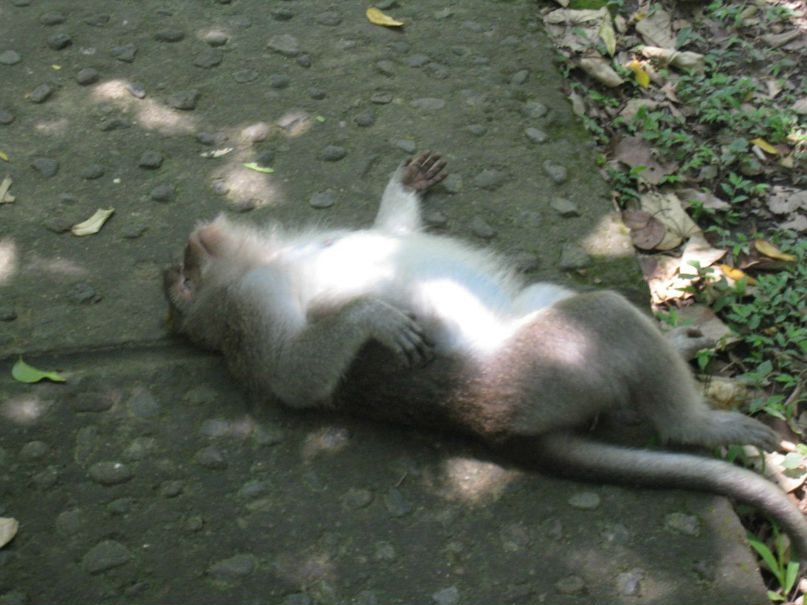 Наташа Смирнова | Новосибирск