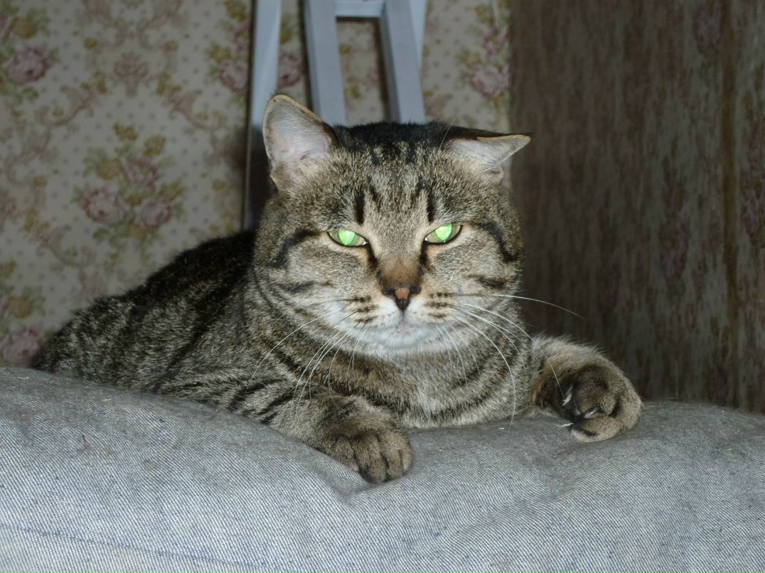 Антон Лыхин Antonio | Москва