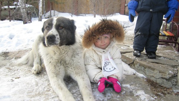 №6, Наталья Махнева-Пашуткина, Екатеринбург №6, Наталья Махнева-Пашуткина, Екатеринбург