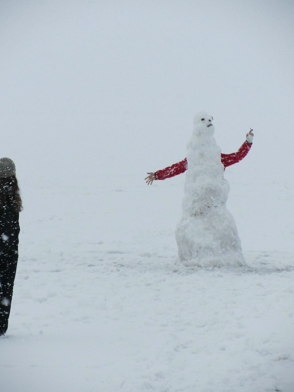 Алеся Верина | 