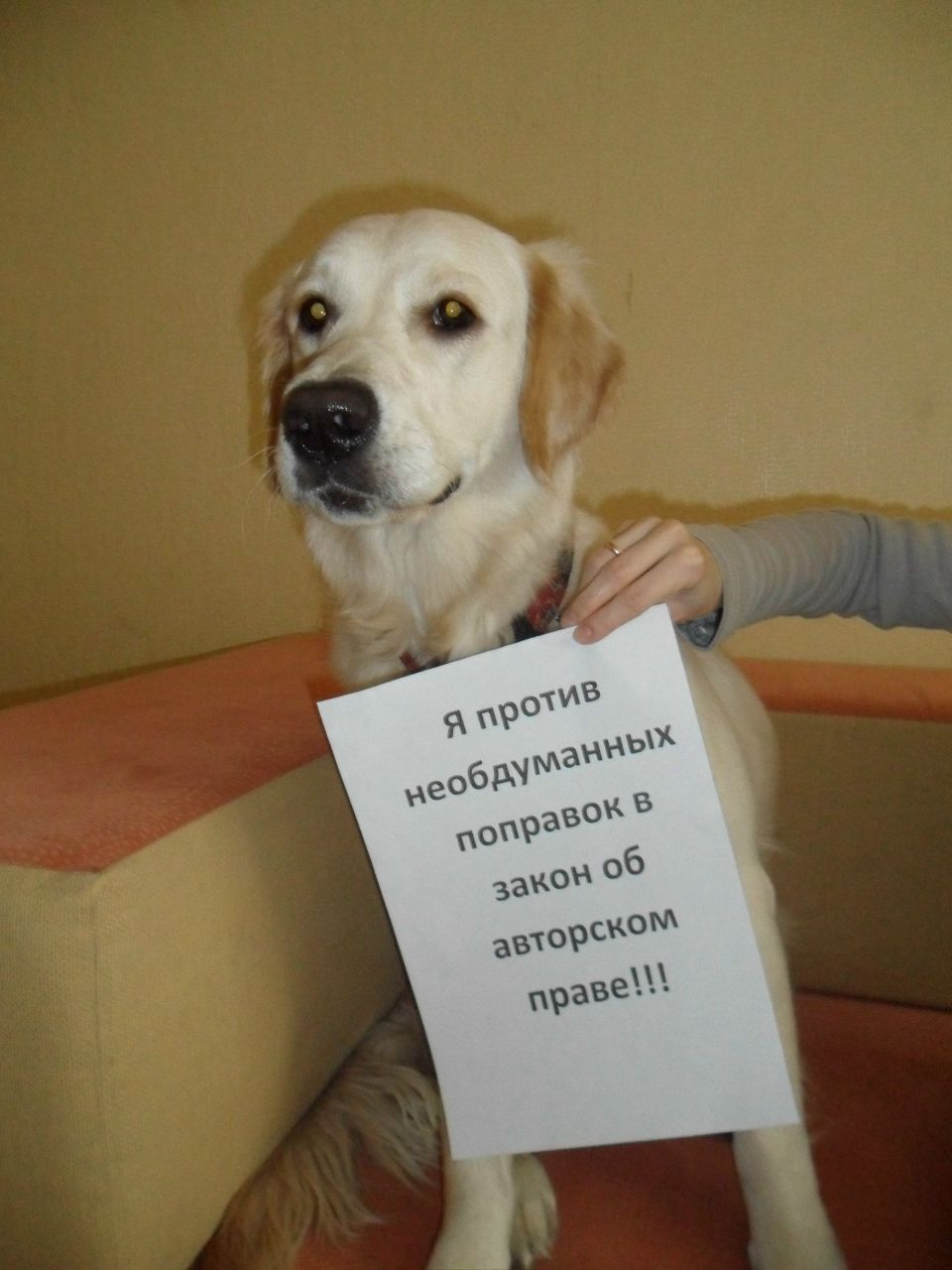 Ася Калимулина | Алматы