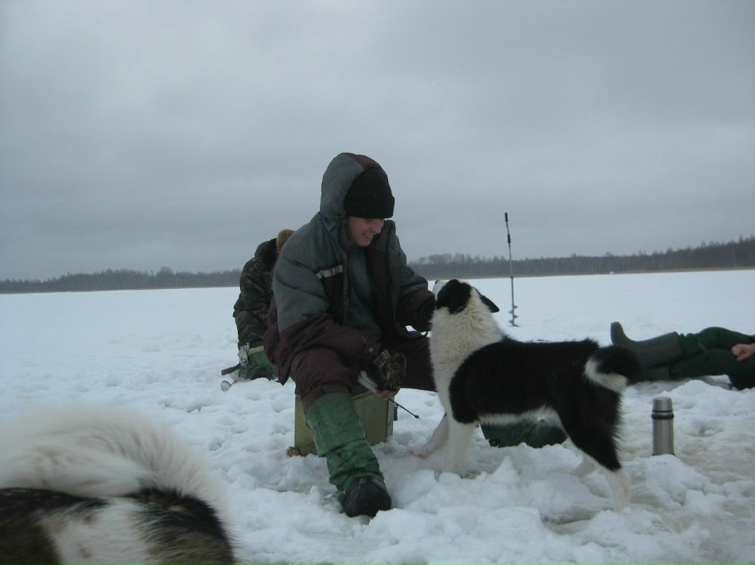 Лёха Косьтенко | Апатиты