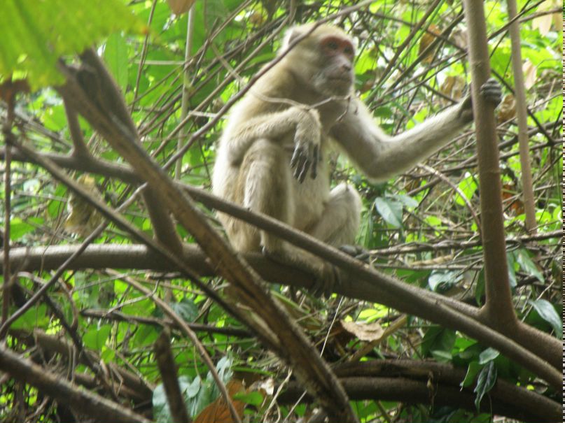 Pulikovskii Konstantin | Псков